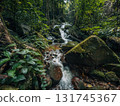 Small streams and waterfalls in a lush forest. Nature and environmental images. 131745367
