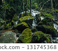 Small streams and waterfalls in a lush forest. Nature and environmental images. 131745368