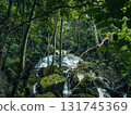 Small streams and waterfalls in a lush forest. Nature and environmental images. 131745369