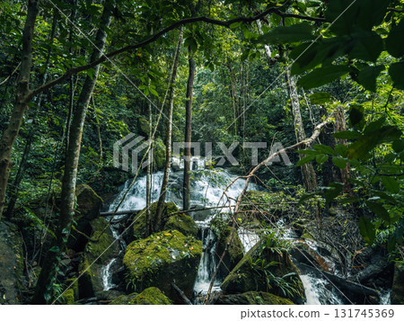 Small streams and waterfalls in a lush forest. Nature and environmental images. 131745369