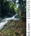 Small streams and waterfalls in a lush forest. Nature and environmental images. 131745370