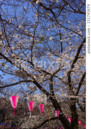 Meguro River Sakura Festival 131745674