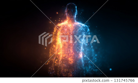 Contrast between the sympathetic nervous system (red, active) and the parasympathetic nervous system (blue, relaxed) 131745766