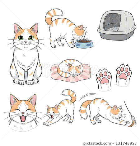 Set of cat character. illustration design. 131745955