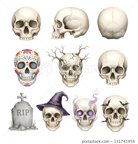 human skulls set. Watercolour illustration design human skulls set. Watercolour illustration design 131745958