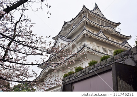 Cherry blossoms at Chiba City Museum of History (Chiba Castle) 131746251