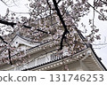 Cherry blossoms at Chiba City Museum of History (Chiba Castle) 131746253