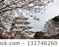 Cherry blossoms at Chiba City Museum of History (Chiba Castle) 131746260