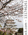 Cherry blossoms at Chiba City Museum of History (Chiba Castle) 131746261