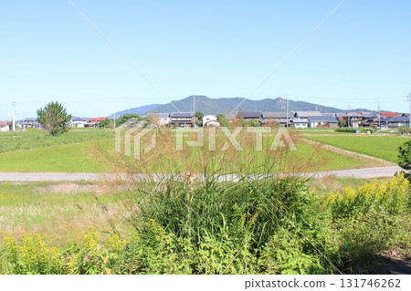 Autumn countryside and silver grass 131746262
