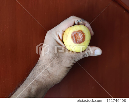 Human hand holding yellow fruit with visible bruise close up against warm reddish brown background 131746408