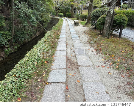 京都的哲學之路 京都的哲學之路 131746447