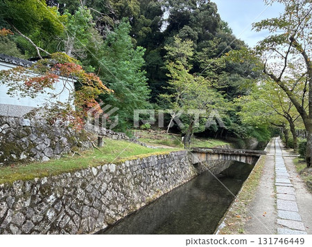 Kyoto's Philosophy Road 131746449