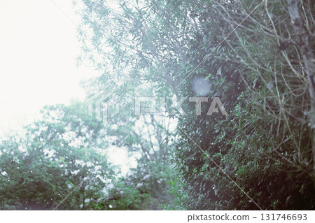 Powdery snow begins to fall from the car window 131746693