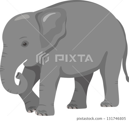 孩子們的大象 131746805