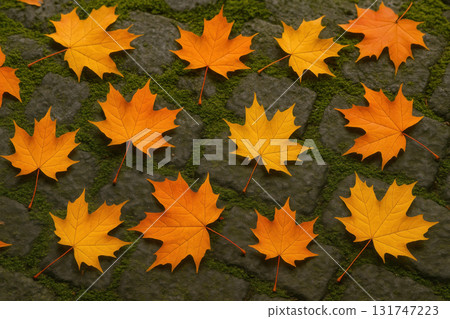 Bright orange and yellow maple leaves scattered on mossy stone pavement create vibrant autumn scene full of seasonal natural beauty and warm colors Bright orange and yellow maple leaves scattered on mossy stone pavement create vibrant autumn scene full of seasonal natural beauty and warm colors 131747223
