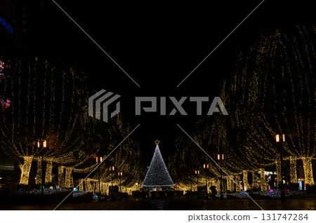 燈火輝煌的城市 燈火輝煌的城市 131747284
