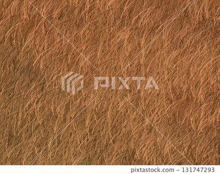 Brown hair fur background illustration material Brown hair fur background illustration material 131747293