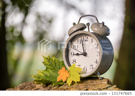 Alarm clock with autumn leaves on a tree stump, capturing a moment in time with nature's beauty. Alarm clock with autumn leaves on a tree stump, capturing a moment in time with nature's beauty. 131747665