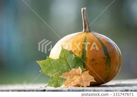 A vibrant autumn scene featuring a pumpkin with colorful leaves, perfect for fall. A vibrant autumn scene featuring a pumpkin with colorful leaves, perfect for fall. 131747671