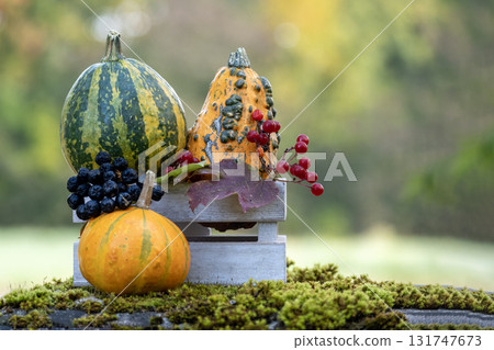 Autumn Harvest Still Life With Pumpkins, Gourd, Berries On Rustic Wooden Crate 131747673