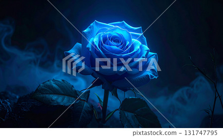 月光藍玫瑰 月光藍玫瑰 131747795