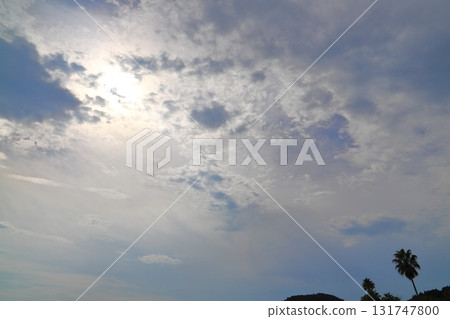 多雲的天空太陽樹 多雲的天空太陽樹 131747800