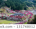 [Nagano Prefecture] Spring is in full bloom in Achi Village's "Hanamomo no Sato" peach blossoms 131748012