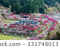 [Nagano Prefecture] Spring is in full bloom in Achi Village's "Hanamomo no Sato" peach blossoms 131748013