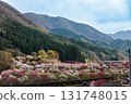 [Nagano Prefecture] Spring is in full bloom in Achi Village's "Hanamomo no Sato" peach blossoms 131748015