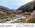 [Nagano Prefecture] Spring is in full bloom in Achi Village's "Hanamomo no Sato" peach blossoms 131748016