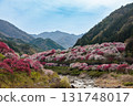 [Nagano Prefecture] Spring is in full bloom in Achi Village's "Hanamomo no Sato" peach blossoms 131748017