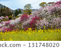 [Nagano Prefecture] Spring in full bloom at Achi Village's "Hanamomo no Sato" (Flower Peach Village) with peach blossoms and rape blossoms in full bloom 131748020