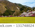 [Nagano Prefecture] Spring in full bloom at Achi Village's "Hanamomo no Sato" (Flower Peach Village) with peach blossoms and rape blossoms in full bloom 131748024