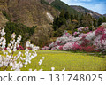 [Nagano Prefecture] Spring in full bloom at Achi Village's "Hanamomo no Sato" (Flower Peach Village) with peach blossoms and rape blossoms in full bloom 131748025