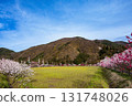 [Nagano Prefecture] Spring in full bloom at Achi Village's "Hanamomo no Sato" (Flower Peach Village) with peach blossoms and rape blossoms in full bloom 131748026