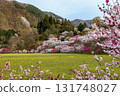 [Nagano Prefecture] Spring in full bloom at Achi Village's "Hanamomo no Sato" (Flower Peach Village) with peach blossoms and rape blossoms in full bloom 131748027
