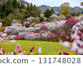 [Nagano Prefecture] Spring in full bloom at Achi Village's "Hanamomo no Sato" (Flower Peach Village) with peach blossoms and rape blossoms in full bloom 131748028