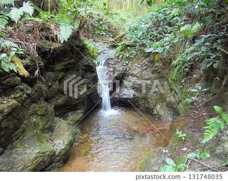 宿屋瀑布 131748035