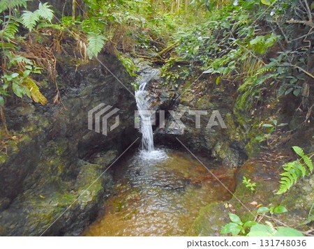 Shukuya Waterfall 131748036