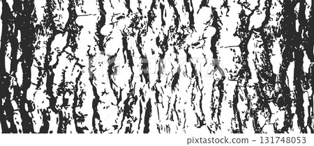 Tree bark texture Tree bark texture 131748053