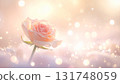 燈光下的玫瑰 131748059