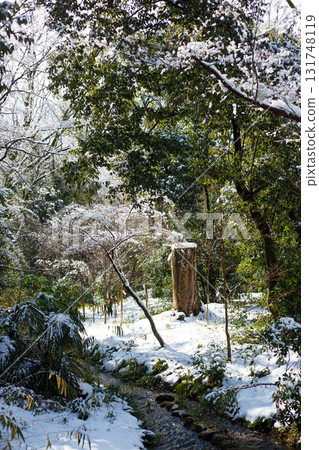 雪忠須森林 雪忠須森林 131748119