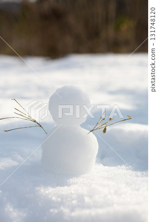 雪人 雪人 131748120