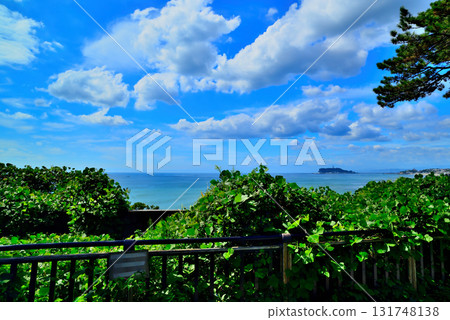 從稻村崎公園看湘南海岸、相模灣和江之島,白雲 從稻村崎公園看湘南海岸、相模灣和江之島,白雲 131748138