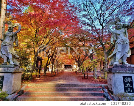 天王院、篠栗屯山觀音寺的秋葉 天王院、篠栗屯山觀音寺的秋葉 131748223