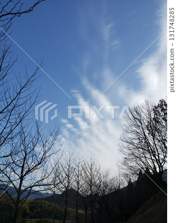 笹栗町鎧之森 初冬的天空 131748285