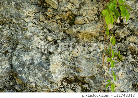 Close-up of Rugged Rock Surface as Abstract Nature Backdrop 131748318