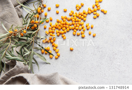 Sea buckthorn berries and branch on gray background Sea buckthorn berries and branch on gray background 131748914