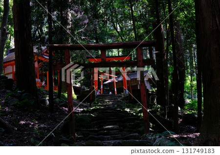 A sacred torii gate visible in the depths of the trees A sacred torii gate visible in the depths of the trees 131749183